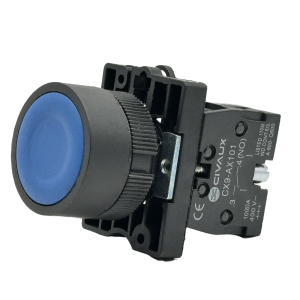 PUSH BUTTON PLASTIC BLUE